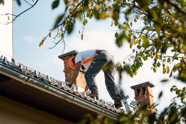 Best Commercial Roofing Services  in Cornell, WI