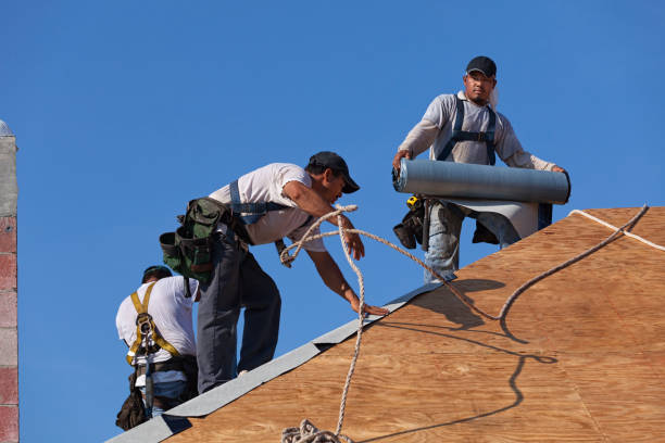 Best Gutter Installation and Roofing  in Cornell, WI